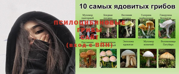 кокс Абаза