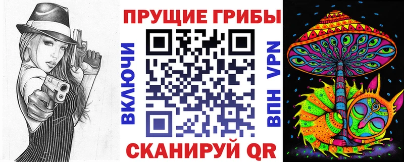 Псилоцибиновые грибы Psilocybine cubensis  закладка  Приволжск 